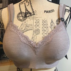 Sale 🔥 Women’s Ti Voglio Mauve Padded Wirefree Bra
